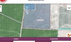 Afyon'da 180 bin metrekareye yakın arsa satılacak