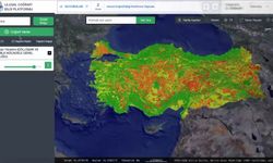 Ev ve arsa alacaklara büyük kolaylık! e-Devlet üzerinden görülebilecek