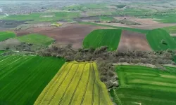 Kandıra’da 140 metrekarelik arsa icradan satışa çıkıyor